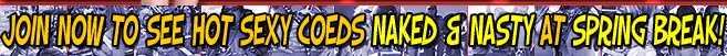 Click here to visit Wild & Ready.